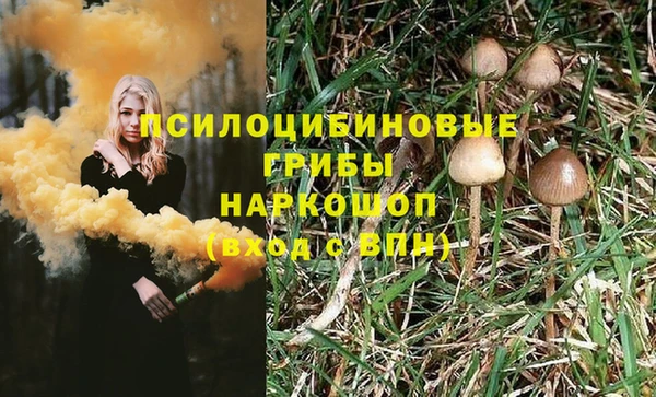ECSTASY Армянск