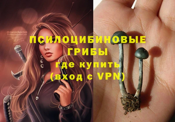 дурь Аркадак