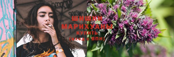 дурь Аркадак