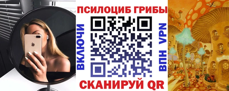Псилоцибиновые грибы мицелий OMG онион Сарапул